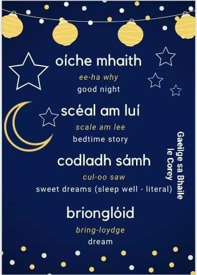 Gaelic Words Scottish, Scottish Gaelic Phrases, Irish Curse, Celtic Language, Irish Gaelic Language, Learning Irish, Scots Gaelic, Irish Phrases, Gaelic Language