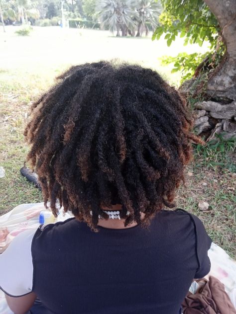 6 months old locs 3 Month Locs, Freeform Locs, 6 Month Olds, Locs, 6 Months, Nails, Hair, Quick Saves