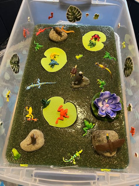 Made with dyed chia seed water and decorations Table Top Sensory Activities, Chia Seed Tuff Tray, Chia Seed Craft, Reptile Sensory Bin, Spring Tray Ideas, Chia Seed Sensory Bin, Chia Seed Sensory Play, Pond Sensory Bin, Water Sensory Bin