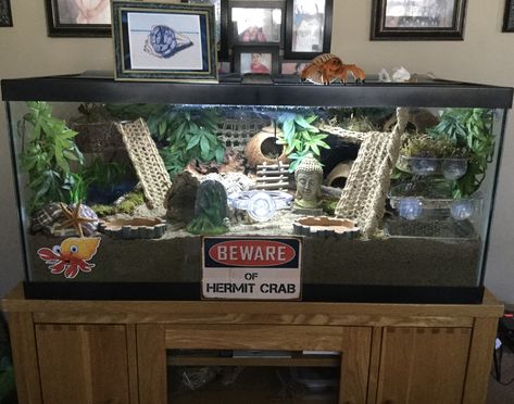 My “Crabitat” 2020 Bearded Dragon Tank Setup, Hermit Crab Homes, Crab Habitat, Bearded Dragon Vivarium, Bearded Dragon Terrarium Ideas, Crab Tank, Hermit Crab Habitat, Hermit Crab Tank, Bearded Dragon Diy