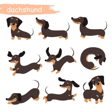 Dashhound Illustration, Drawing A Dachshund, Funny Dachshund Art, Cartoon Weiner Dog, Weiner Dog Illustration, Dachshund Dog Illustration, Sausage Dog Cartoon, Basset Hound Illustration, Dachshund Illustration Drawings