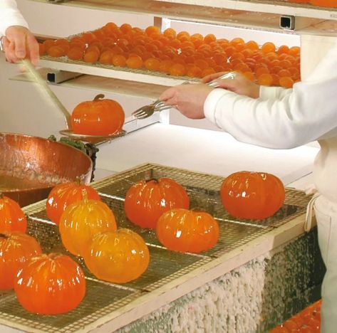 Clementine Recipes, Glazed Fruit, Candied Fruit Recipes, Glace Fruit, Dessert Truffles, Candied Fruit, Homemade Candies, European Food, Kids Recipes