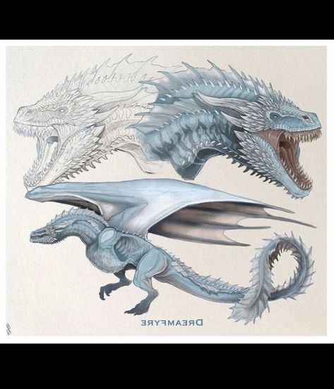 Dragon Medieval, Drogon Game Of Thrones, Dragon Queen, Game Of Thrones Dragons, Mythical Creatures Fantasy, Got Dragons, Dragon Artwork Fantasy, Targaryen Art, Dragon Sketch