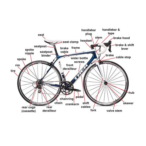 Road Bike Pictionary Road Bike Parts, Best Road Bike, Anatomy Lessons, Bike Training, Trek Bikes, Best Bike, Cycling Tips, Road Mountain, I Want To Ride My Bicycle