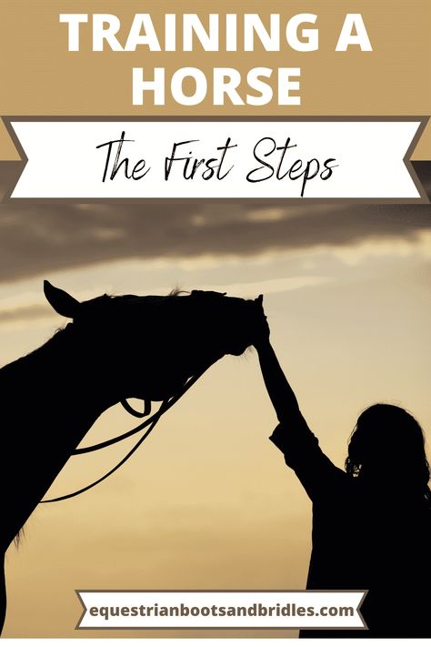 The First Steps to Training a Horse – Equestrian Boots and Bridles Horse Liberty Training, Liberty Training Horses, Horse Ground Work Exercises, Horse Ground Work, Horse Training Schedule, Liberty Horse Training, Ground Work For Horses, Mustang Training, Horse Drills