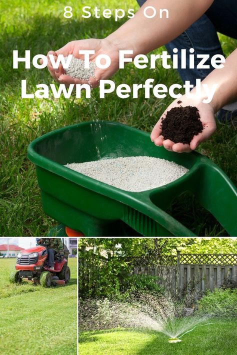 how to fertilize lawn Reseeding Lawn, Spring Lawn Care, Lawn Fertilizer, Aerate Lawn, Lawn Care Tips, Lush Lawn, Healthy Lawn, Yard Care, Grasses Garden