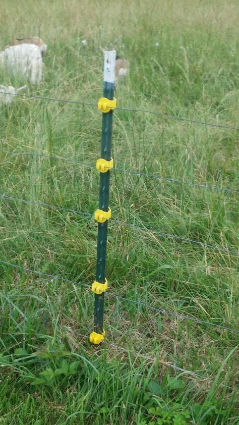 How to Install an Effective Electric Fence in 8 Simple Steps Diy Electric Fence How To Build, Electric Fence For Garden, Electric Fencing For Horses, Electric Fence For Cattle, High Tensile Fence, Solar Electric Fence, Goat Fence, Build A Fence, Livestock Fence