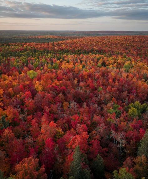 Minnesota Nature, Canada Photography, Phone Screen Wallpaper, Live Wallpaper Iphone, Cool Wallpapers For Phones, National Photography, Inspirational Wallpapers, Landscape Pictures, Love Wallpaper