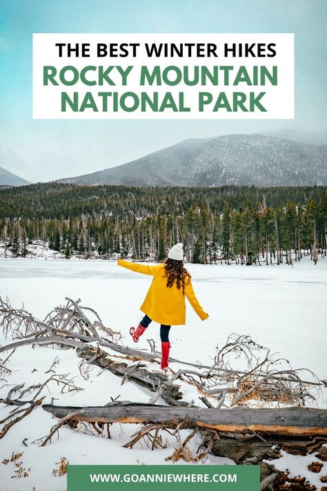 Best Winter Hikes in Rocky Mountain National Park Nature Hobbies, Rocky Mountain National Park Hikes, State Parks Usa, Rocky Mountain National Park Colorado, National Park Camping, Travel Inspiration Destinations, National Park Road Trip, Winter Destinations, National Parks Usa