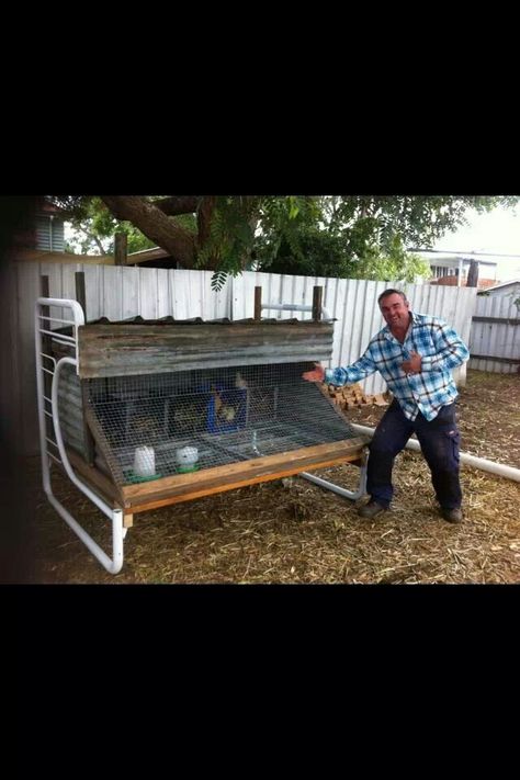 Double bunks into a chicken coop...pic sourced from dirtgirlworld FB page. Homesteading Animals, Double Bunk, Homestead Living, Chicken Diy, Down On The Farm, Rustic Living, Bunk Bed, Chicken Coop, Farm Life