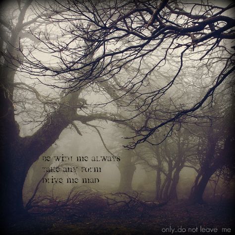 A quote from one of the most moving, disturbing, and human classics written.  Wuthering Heights. Last Ride, Foggy Forest, Wuthering Heights, The Fog, On The Ground, Dark Forest, Enchanted Forest, Dark Side, Dark Aesthetic