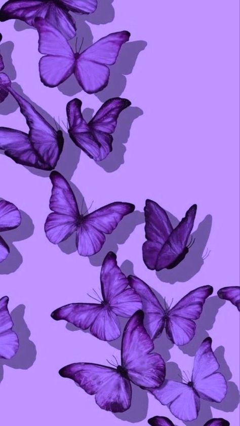 Collage Backgrounds, Purple Aesthetics, Butterfly Wallpapers, Themed Wallpapers, Black And Purple Wallpaper, Purple Butterfly Wallpaper, Purple Aesthetic Background, Dark Purple Wallpaper, Whatsapp Wallpaper Cute