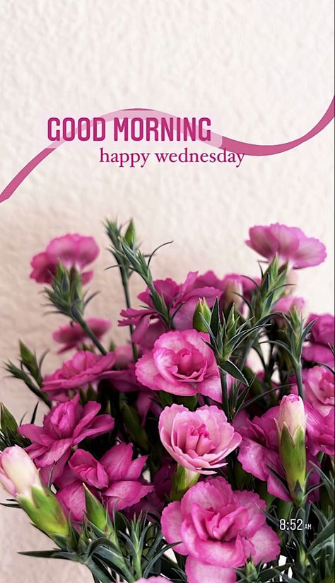 Wednesday Quotes Aesthetic, Wednesday Flowers, Happy Wednesday Morning, Wednesday Aesthetic, Good Morning Happy Wednesday, Flowers Morning, Wednesday Wishes, Gd Mrng, Morning Wednesday