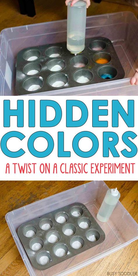 HIDDEN COLORS: A twist on a classic experiment; toddlers and preschoolers will love this fun science activity that's perfect for a rainy day; a quick and easy activity from Busy Toddler Daycare Inspiration, Experiments For Preschoolers, Colour Activities, Toddler Science, Intentional Teaching, Chromatography For Kids, Pre-k Science, Science Area, Toddler Science Experiments