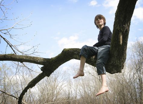 Climbing Trees, Kids Climbing, Sitting In A Tree, Climb Trees, Art Appliqué, Tree Pose, Human Reference, Human Poses Reference, Poses References