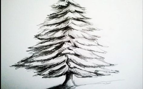 How To Paint A Christmas Tree: 10 Amazing and Easy Tutorials! Winter Tree Drawing, Christmas Scene Drawing, Christmas Tree Drawing Easy, Tree Drawing For Kids, Paint A Christmas Tree, Christmas Tree Sketch, Tree Line Drawing, Christmas Tree Stencil, Christmas Tree Easy