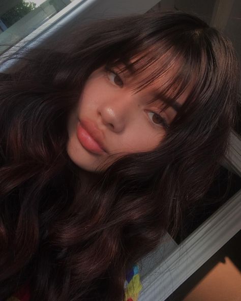 bangs, black hair, brunette, cute, aesthetic, volume, wavy Whisky Bangs, Brown Hair Bangs, Light Bangs, Haircut Inspo, Hair Idea, Ribbon Hairstyle, Haircut Inspiration, Wispy Bangs, Fringe Hairstyles