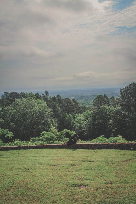 East Texas Aesthetic, East Of Eden Aesthetic, Texas Road Trip Ideas, Caddo Lake State Park, Celina Texas, Texas Road Trip, Dr Ideas, Texas Lakes, Road Trip Ideas