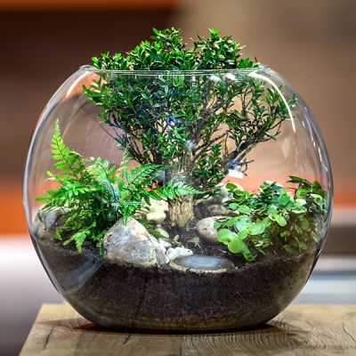 Glass Fish Bowl Decor, Round Glass Bowl Decor Ideas, Glass Bowl Crafts, Gumball Terrarium, Fish Bowl Terrarium, Fishbowl Terrarium, Indoor Terrarium, Glass Bowl Terrarium, Candy Buffet Containers