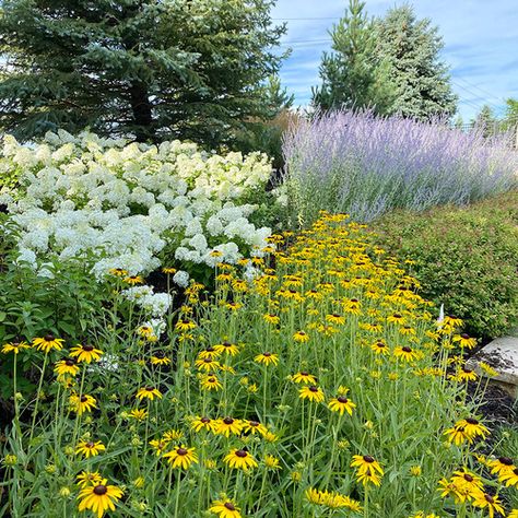 Landscaping With Clay Soil, Flowers That Grow In Clay Soil, Clay Soil Garden, Clay Soil Gardening, Island Landscaping, Amending Clay Soil, Clay Soil Plants, Perennial Garden Plans, Fall Perennials