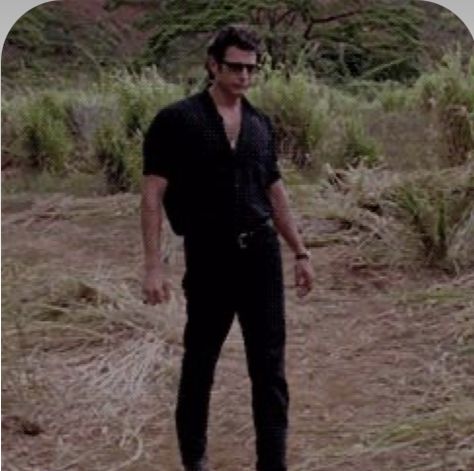 Jeff Goldblum Jurassic Park, Jurassic Park Costume, Dr Ian, Jeff Goldblum, Geena Davis, Jurrasic Park, Jurassic Park World, Movie Poster Art, Livingston