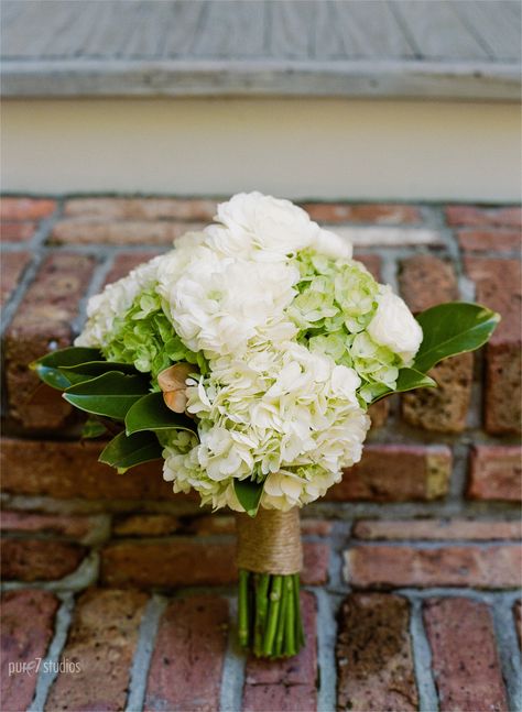 The bridal bouquet will be a clutch of cream and green hydrangeas with white ranunculus, green seeded eucalyptus, and magnolia foliage wrapped in ivory ribbon. Hydrangea And Magnolia Bouquet, White And Green Hydrangea Bouquet, Magnolia Foliage, Green Hydrangea Bouquet, Green Hydrangea Wedding, Spring Bridal Shower Favors, Hydrangea Bridesmaid Bouquet, Sangria Wedding, Hydrangea Bridal Bouquet