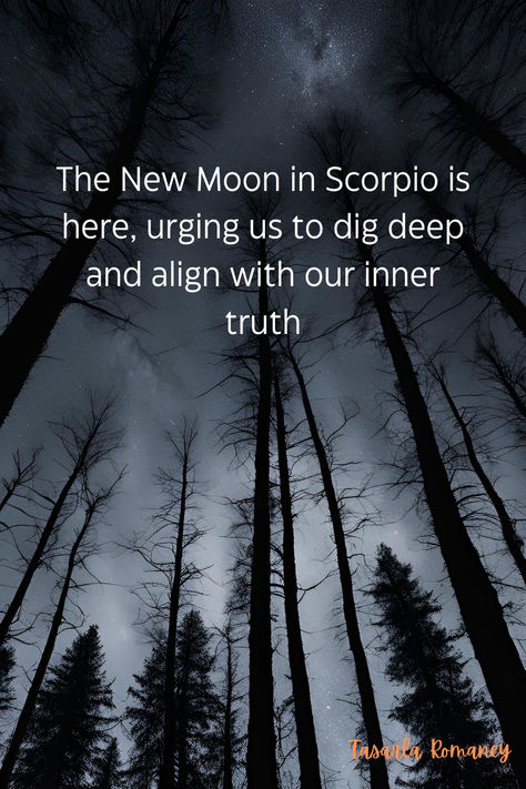 With six planets in retrograde, it’s the perfect time for reflection and transformation.   Dive into my latest blog to learn how these energies can guide you in healing, releasing, and planting seeds for real change.   #NewMoon #ScorpioSeason #RetrogradeReflections #IntentionSetting #SpiritualJourney Planets In Retrograde, New Moon In Scorpio, Moon In Scorpio, Set Intentions, Scorpio Season, Lunar Phase, Scorpio Moon, Intention Setting, Dig Deep