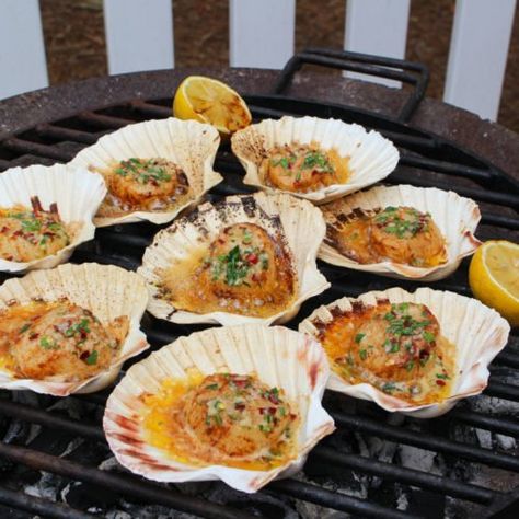 Grilled Scallops in the Shell - Over The Fire Cooking Grilled Scallops Recipe, Seafood Scallops, Over The Fire Cooking, Seafood Dish Recipes, Grilled Scallops, Stuffed Shells Recipe, Shellfish Recipes, Scallop Recipes, Grilled Seafood