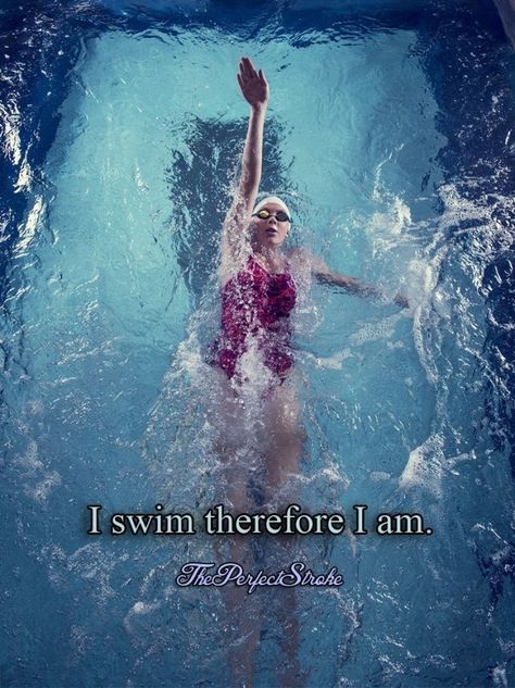 . Swimming Backstroke, Swimming Sets, Swim Motivation, Backstroke Swimming, Endless Pools, Exercise Pool, Swimming Team, Swimming Motivation, Swimming Memes