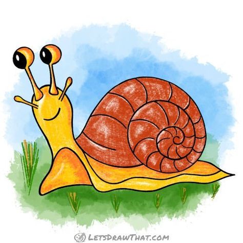 Learn how to draw a snail. A step-by-step tutorial to draw a common garden snail with large, cute, cartoony eyes. Cartoon Snail Drawing, Snails Drawing, Snail Drawings, Snail Painting, Cute Snail Drawings, Snail Drawing, Pond Drawing, Pond Animals, Madhubani Art