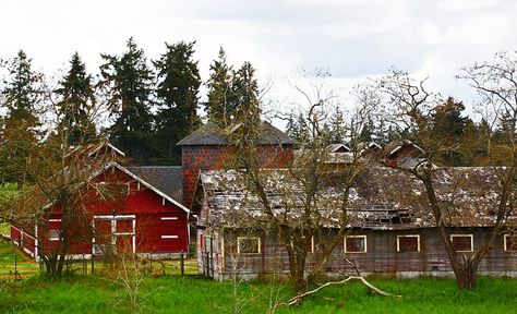 fort steilacoom park | Farm at Fort Steilacoom Park Stone Barns, Rural Area, Washington State, Country Living, Pacific Northwest, Fort, Washington, Old Things, Cabin