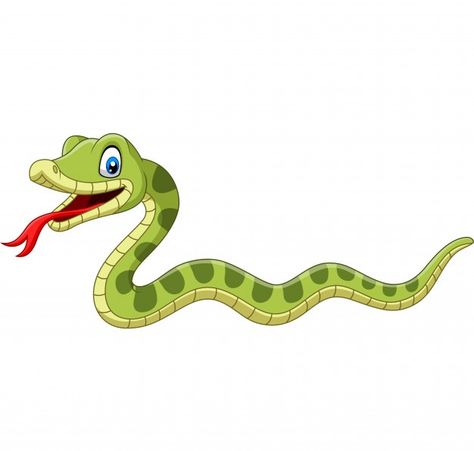 Cute green snake cartoon isolated | Premium Vector #Freepik #vector #design #green #nature #character Snake Picture, Snake Cartoon, Poisonous Animals, Snake Painting, Snake Illustration, Colorful Snakes, School Images, Cartoon Clip, Photoshop Design Ideas