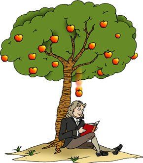 A young Isaac Newton was sitting under an apple tree when he got hit on the head by a falling piece of fruit, which prompted him to suddenly come up with his law of gravity, so the legend goes. Newton Sitting Under Tree, Newton Gravity, Gravity Art, Newtons Laws, School Book Covers, Famous Scientist, Note Doodles, Shri Ram Photo, Study Pictures