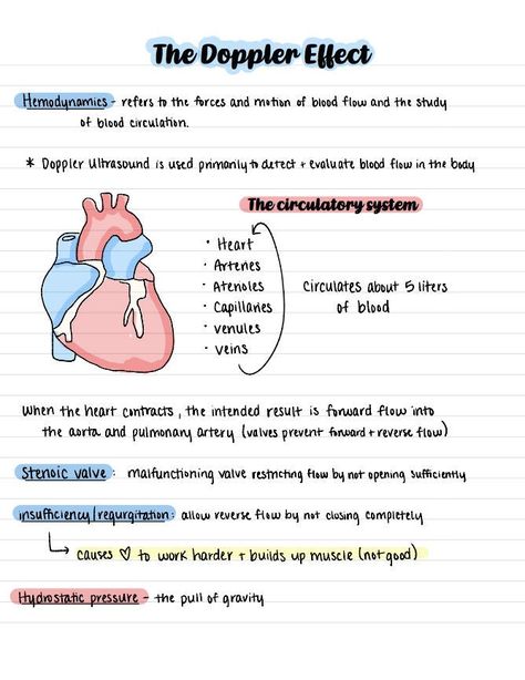 This purchase includes the notes for Ultrasound physics semester 2 for the Doppler Effect (chapter 5). Diagnostic Medical Sonography Student, Ultrasound Physics, Nursing School Studying Cheat Sheets, Medical Terminology Study, Study Sheets, Nursing School Inspiration, Learn Biology, Nursing School Essential, Medical School Life