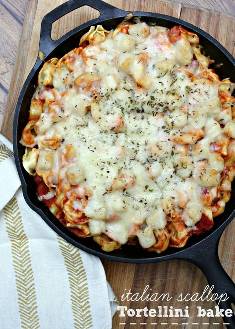 This Italian Scallop Tortellini Bake is a delicious splurge for that special meal; but, still lets you stay within your budget. Easy to make and delicious. Easy Scallop Recipes, Tortellini Bake, Tortellini Recipes, Scallop Recipes, Tomato Sauce Recipe, Entree Recipes, Asparagus Recipe, Family Favorite Meals, Tortellini