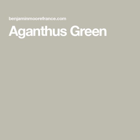 Aganthus Green Aganthus Green, Surround Yourself, Color Collection, Interior Designers, Green Colors, Tea Lights, Pure Products, Green, Color