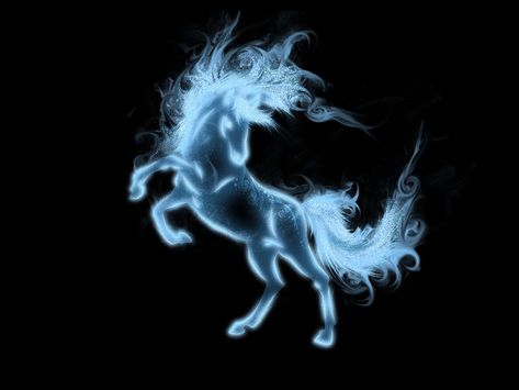 Horse Horse Background, Harry Potter Quizzes, Beautiful Horses Photography, Hp Harry Potter, Expecto Patronum, Fantasy Horses, Unicorns And Mermaids, Your Spirit Animal, Cute Fantasy Creatures