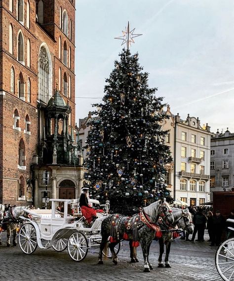 Pretty Cities of Instagram on Instagram: “Festive Season #Krakow ✨🎄 a stunning capture by @_s00__ - chosen by @angrybaker ✨ for #theprettycities ✨” Krakow Christmas, Pretty Cities, Beautiful City, Krakow, Festive Season, Festival Season, Poland, Places To Go, Street View