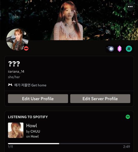 #kpop #discord #profile #ideas #inspo #chuu #howl #slay #cute Discord Profile Ideas Kpop, Chuu Howl, Discord Profile Ideas, Spotify Profile, Tumblr App, Discord Profile, Profile Ideas, My Boards, Kpop Profiles