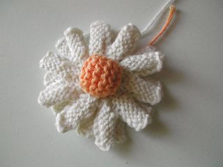 Free Knitted Flower Patterns, Knitted Flowers Free, Knitted Daisy, Knitted Flower Pattern, Web Archive, Knitted Flowers, Pattern Collection, Daisy Pattern, Yarn Projects