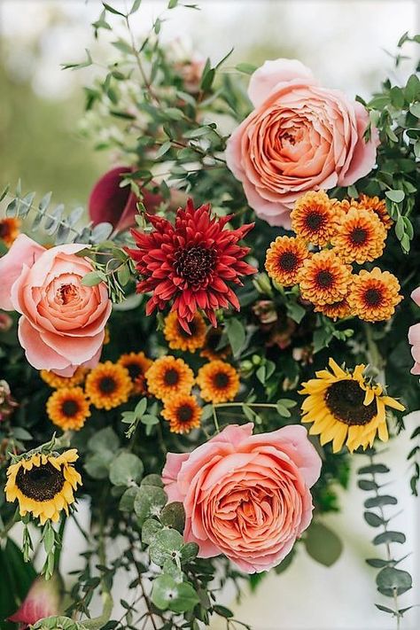 Garden Sunrise Wedding, Diy Flower Arch, Diy Flower Wedding, Wedding Flower Arch, Fifty Flowers, Fall Flowers Garden, Autumn Sunrise, Sunrise Wedding, Pink Flower Arrangements