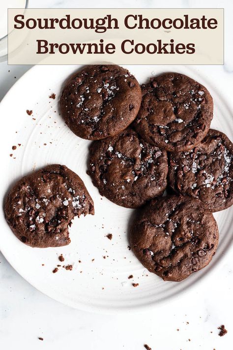 Recipe Using Sourdough Starter, Sourdough Starter Discard Recipe, Chocolate Brownie Cookies, Homemade Sourdough Bread, Gluten Free Sourdough, Sourdough Starter Recipe, Sourdough Discard, Sourdough Baking, Best Cookie Recipes