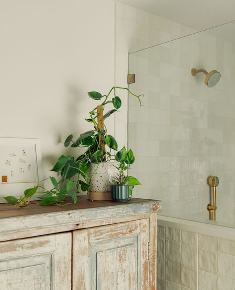 Climbing philodendron add height and interest to any space, even a bathroom! 🫧 🪴 ⁠ ⁠ The philodendron brasil, with it's bright green foliage pattern, works well with the beautiful neutral tile and thrives in the indirect light and humidity! Climbing Philodendron, Philodendron Brasil, Neutral Tile, Green Foliage, Bright Green, Climbing, Tile, Green, Pattern