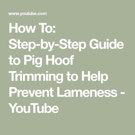 Pig Hooves, Pot Belly Pig, Pig Ideas, Pot Belly Pigs, Pot Belly, Air Fryer Recipes Easy, Fryer Recipes, Pet Health, Recipes Easy