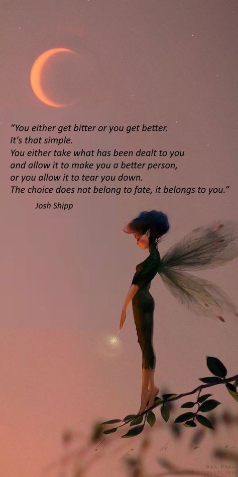 Quote: “You either get bitter or you get better. It's that simple. You either take what has been dealt to you and allow it to make you a better person, or you allow it to tear you down. The choice does not belong to fate, it belongs to you.”
― Josh Shipp Fairy Quotes, Better Quotes, Creation Photo, Photo Montage, Better Person, Montage Photo, The Choice, Inspiring Quotes About Life, Be A Better Person