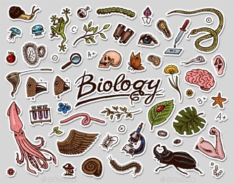 Scientific Laboratory in Biology #Scientific, #Laboratory, #Biology Laboratory Biology, Biology Stickers, Biology Drawing, Science Stickers, Biology Art, Easy Drawings For Beginners, Pastel Poster, Brochure Design Inspiration, Scrapbook Stickers Printable