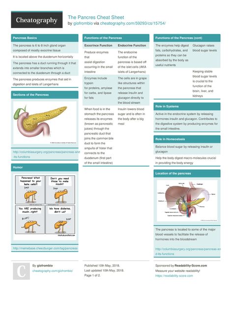 Np Student Cheat Sheets, Pancreas Anatomy Notes, Programming Cheat Sheets, Endocrine System Nursing, Enrolled Nurse, Hormone Nutrition, Nursing Flashcards, Nurse Notes, Nursing Cheat Sheet