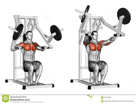 Exercising. Press Hammer Strength Gym Simulator - Download From Over 65 Million High Quality Stock Photos, Images, Vectors. Sign up for FREE today. Image: 59545664 Bench Press Machine, Bench Press Workout, Chest Workout For Men, Latihan Dada, Best Chest Workout, Chest Press, Chest Muscles, Workout Chart, Chest Workouts