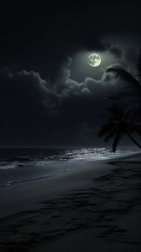 Beach astronomy outdoors nature.  | premium image by rawpixel.com / Ton Black Ocean Aesthetic Wallpaper, Black Ocean Aesthetic, Night Sky Beach, Beach Moonlight, Ocean Backgrounds, Black Ocean, Ocean Aesthetic, Theme Background, Coconut Palm