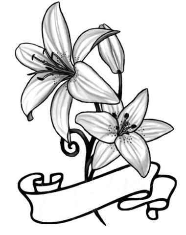 Lily tattoo Tiger Lily Drawing Tattoo Ideas, Lily And Butterfly Tattoo Stencil, Lillie’s Tattoo Design, Lily Tattoo Color, Tiger Lily Line Art, Lily Flower Coloring Pages, Tiger Lily Tattoo, Pearl Tattoo, Lillies Tattoo